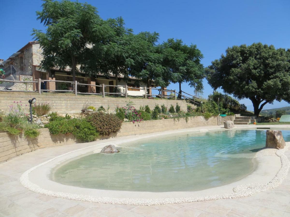 Agriturismo L'Alba Roccastrada Esterno foto